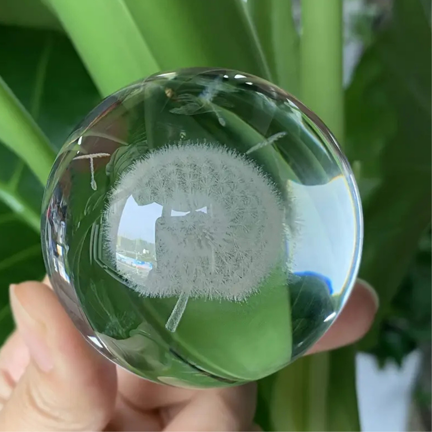 Crystal Ball -Dandelion