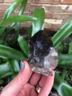Smoky quartz cluster