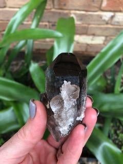 Smoky quartz cluster