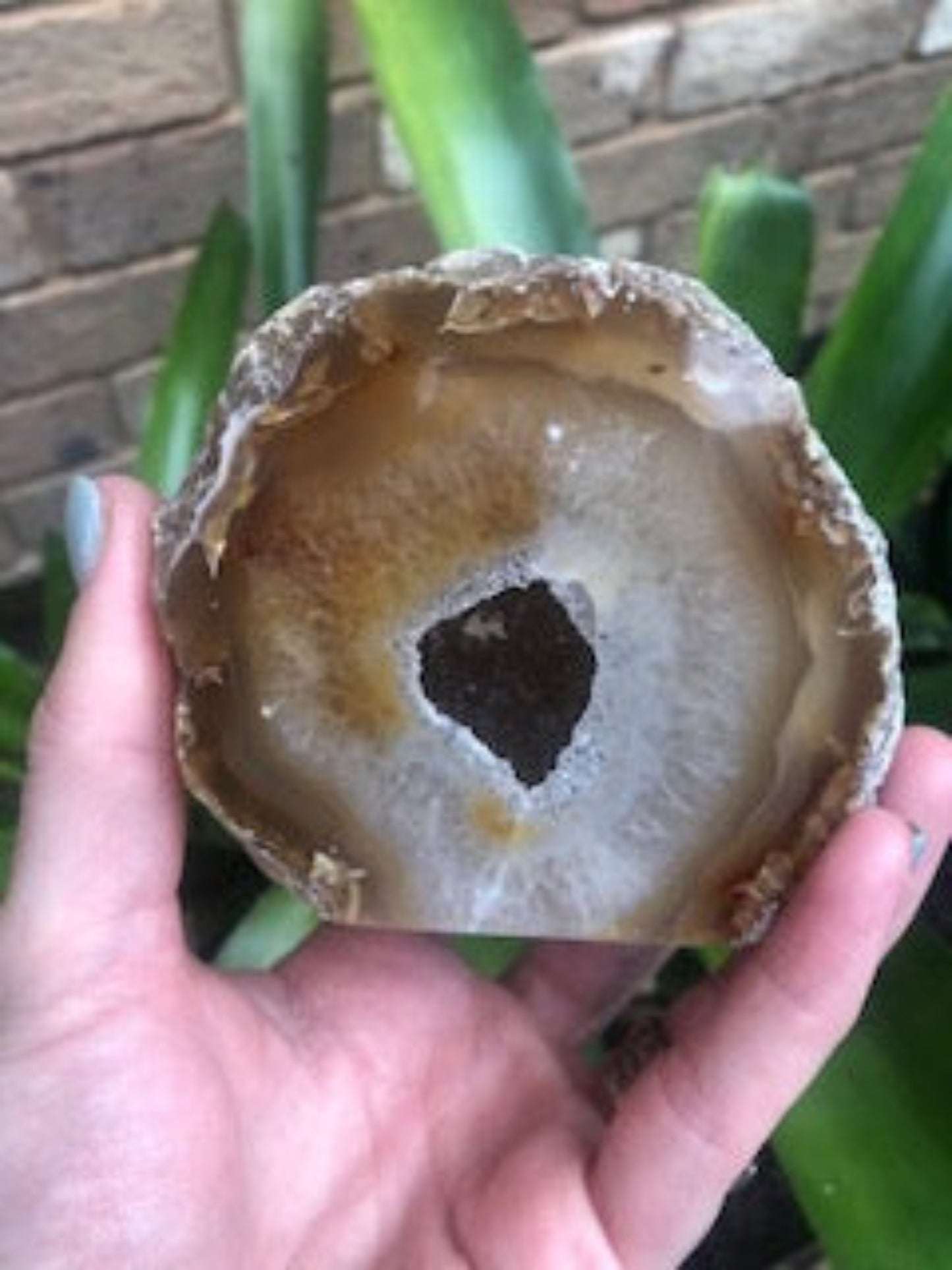 Druzy Agate Geode Cave