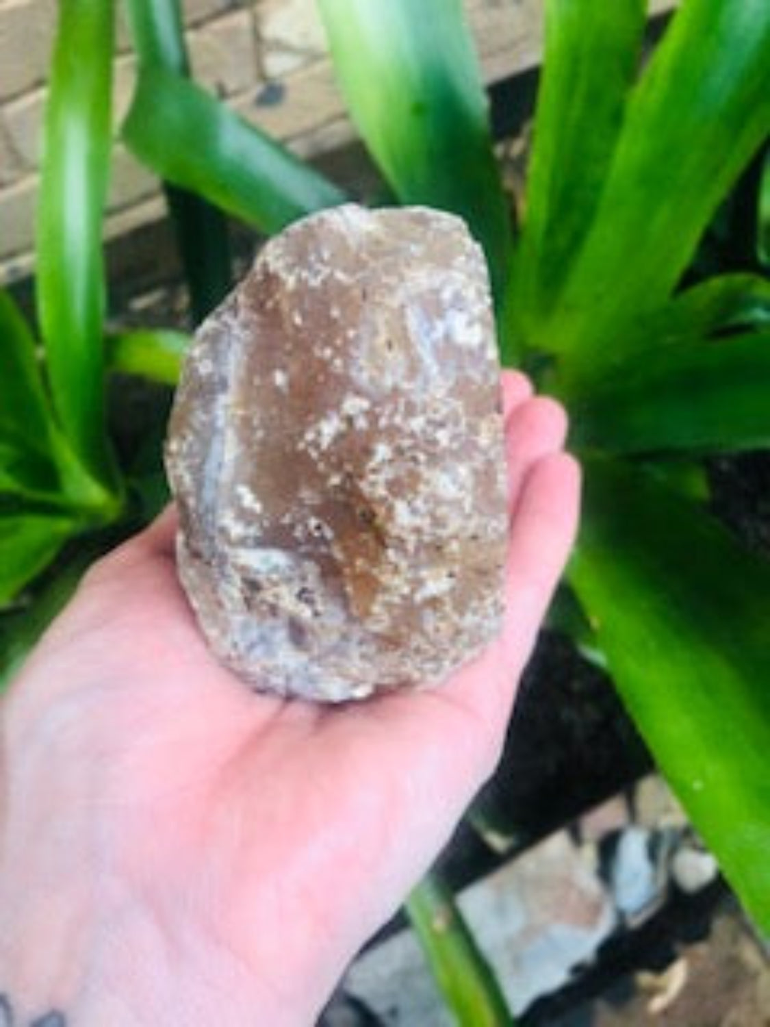 Druzy Agate Geode Cave