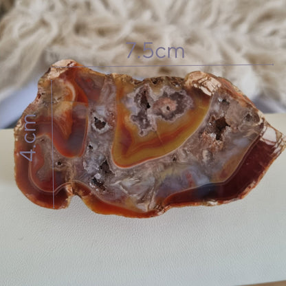 Agate – Banded Beauty from Agate Creek, QLD sizing