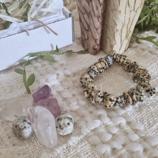 A gift box open to reveal a Dalmation Jasper bracelet and various polished tumblestones on a textured white surface, with decorative elements in the background.